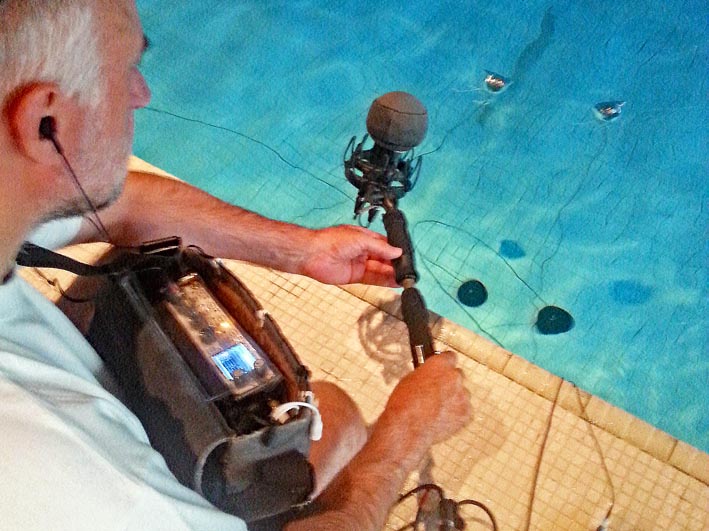 Piscine hydrophone